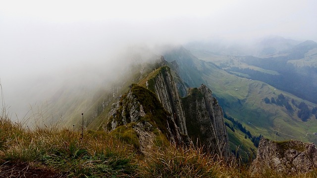 Image by dariasophia from Pixabay
