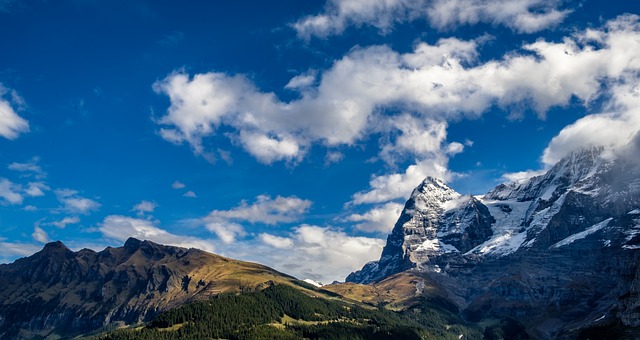 Image by Andy Young from Pixabay