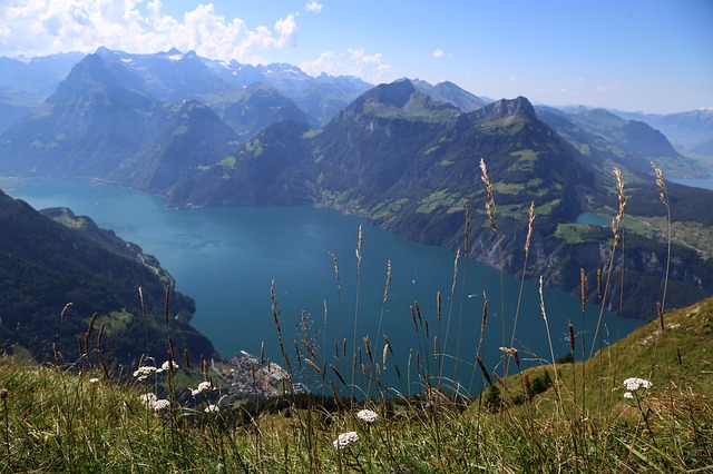 Image by Beatrice Schmuki from Pixabay