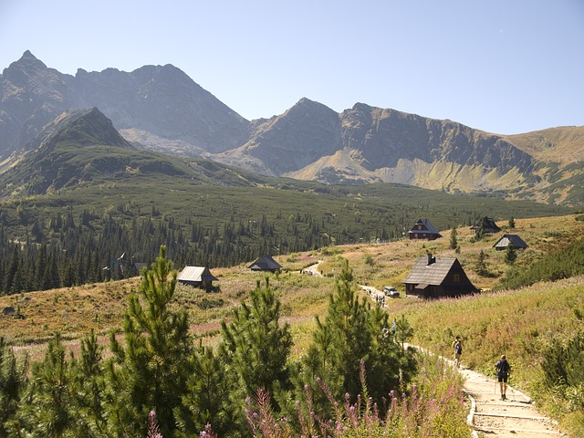 Image by krzysiupra from Pixabay