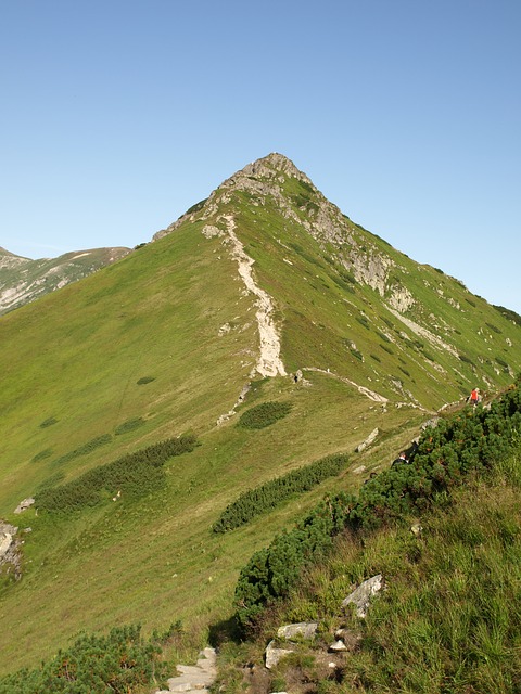 Image by krzysiupra from Pixabay