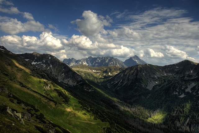 Image by jarekgrafik from Pixabay