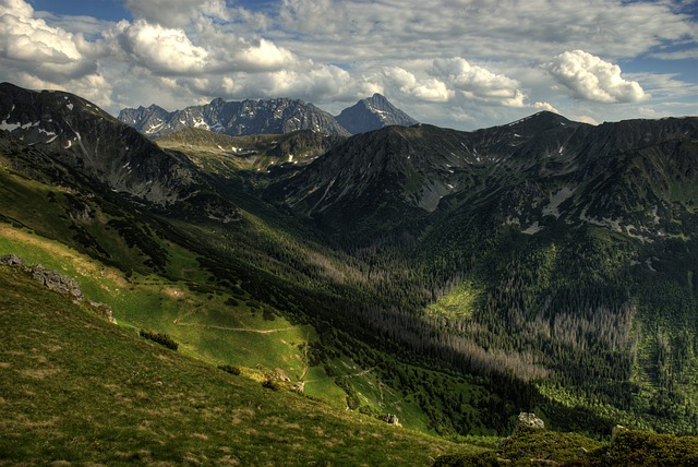 Image by jarekgrafik from Pixabay