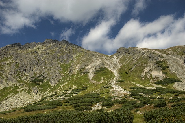 Image by jarekgrafik from Pixabay