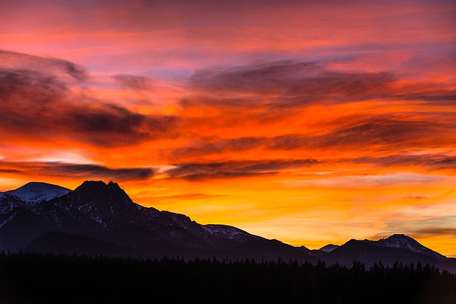 Image by jarekgrafik from Pixabay
