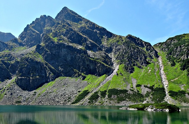 Image by Dariusz Staniszewski from Pixabay