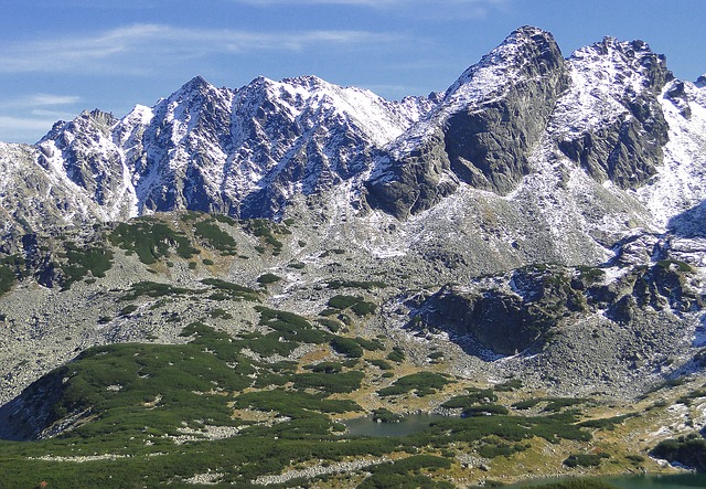 Image by Bronisław Dróżka from Pixabay