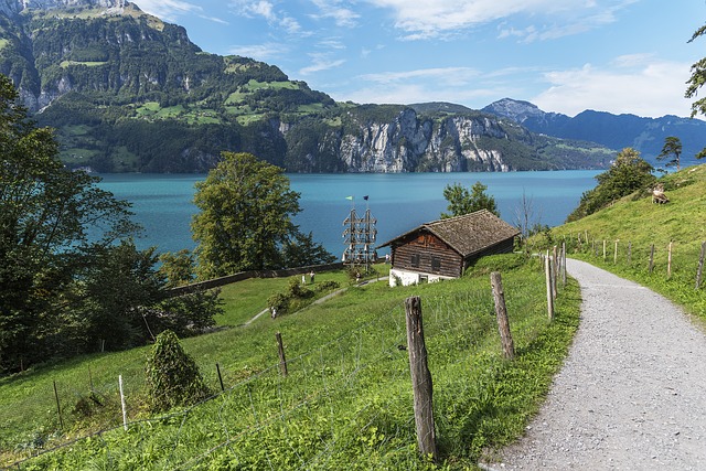 Image by Walter Röllin from Pixabay