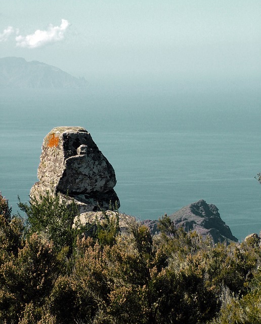Image by Jordi Martos from Pixabay