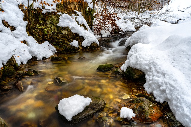 Image by korosegyesulet from Pixabay