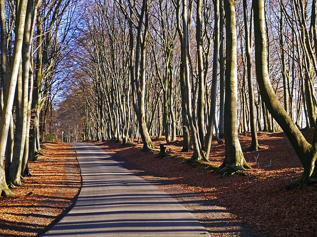 Image by Erich Westendarp from Pixabay