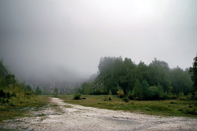 Image by Henryk Niestrój from Pixabay