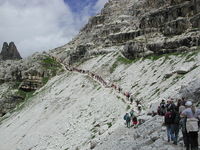 Image by WikiImages from Pixabay
