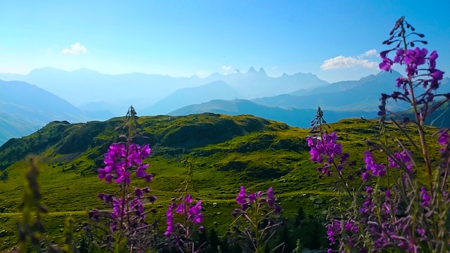 Image by jaegermb from Pixabay