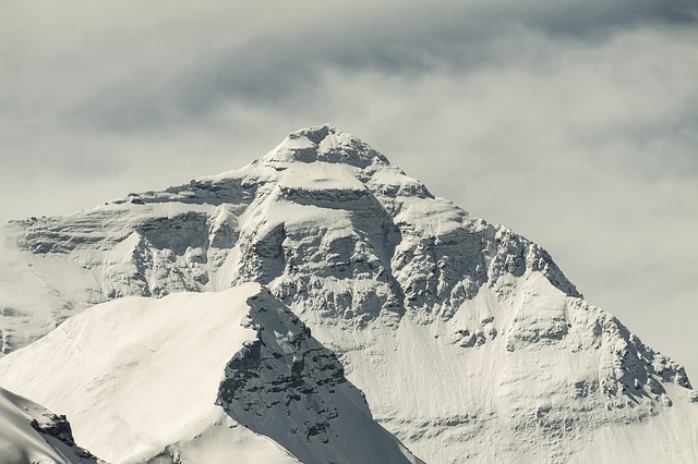 Image by Erika Krause from Pixabay