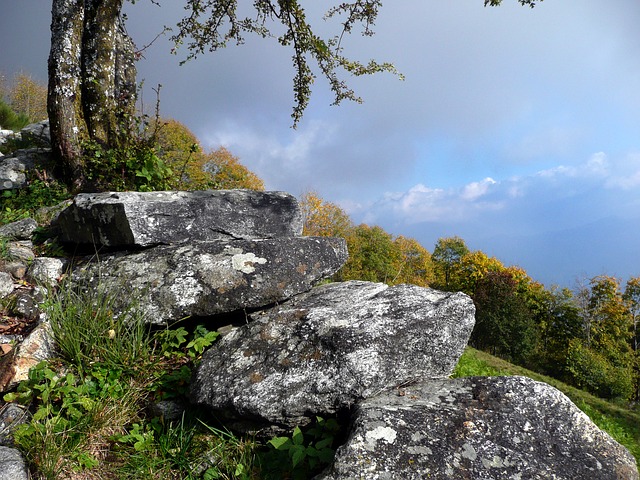Image by Gabriela Fink from Pixabay