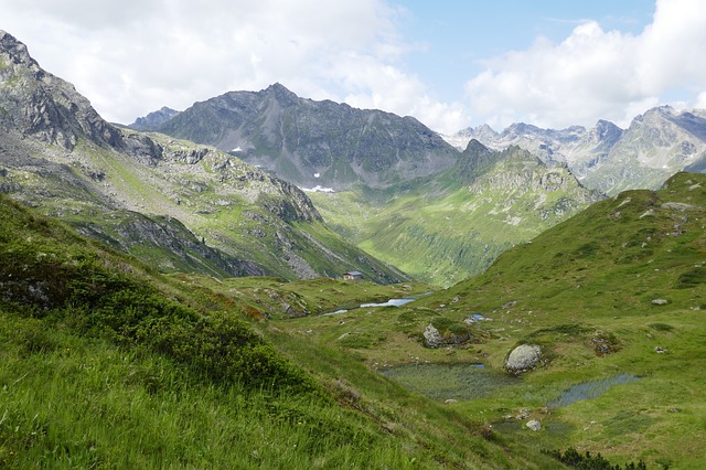 Image by joergweitz from Pixabay