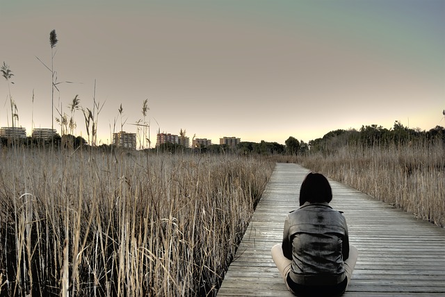 Image by Juan José Los Mios from Pixabay