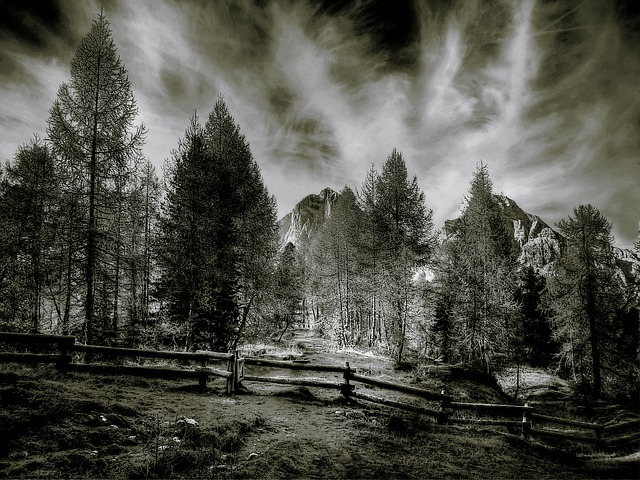 Image by kordula vahle from Pixabay