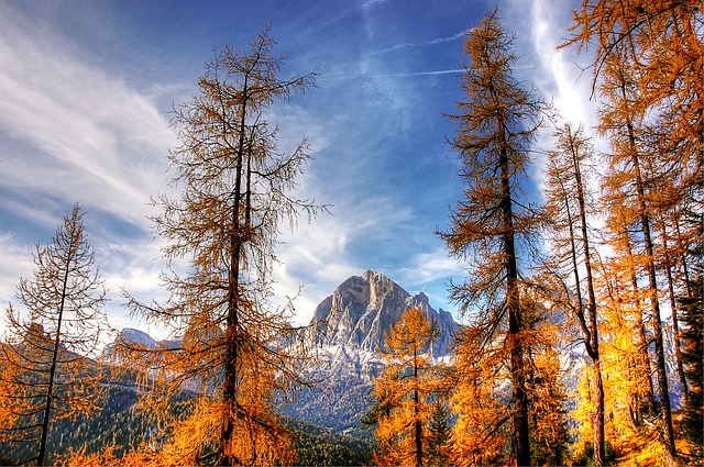 Image by kordula vahle from Pixabay