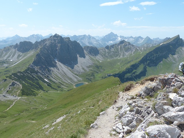 Image by Hans Braxmeier from Pixabay