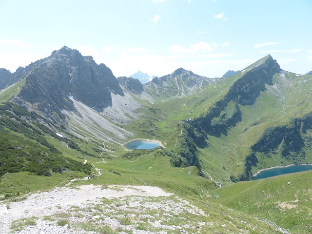 Image by Hans Braxmeier from Pixabay