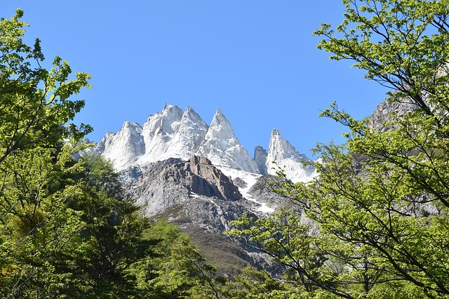 Image by Götz Friedrich from Pixabay