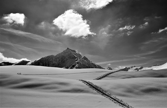 Image by Juliette Kober from Pixabay