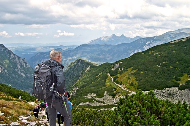 Image by Bronisław Dróżka from Pixabay