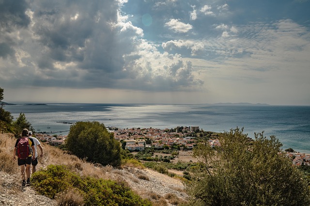 Image by Matthias Groeneveld from Pixabay
