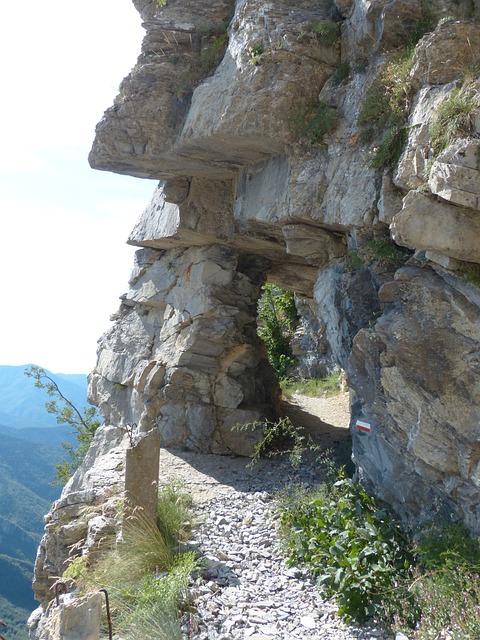 Image by Hans Braxmeier from Pixabay