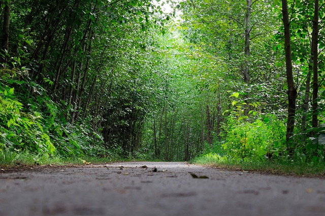 Image by Chris Horvath from Pixabay