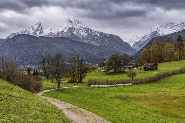 Image by O12 from Pixabay