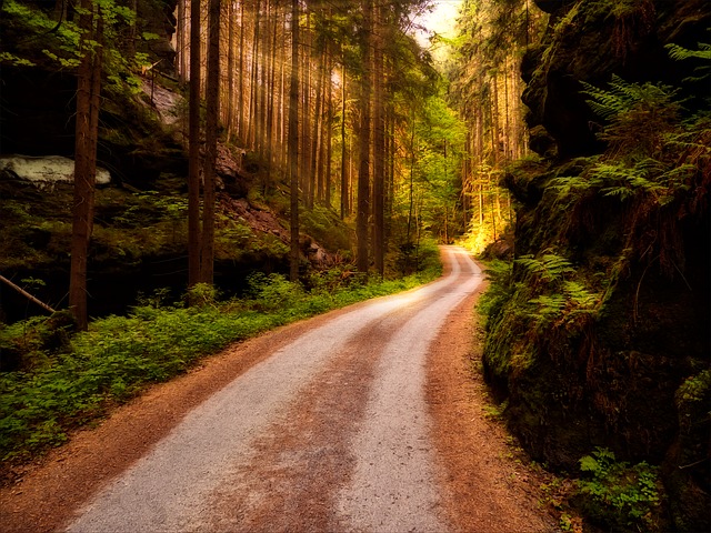 Image by Norbert Pietsch from Pixabay