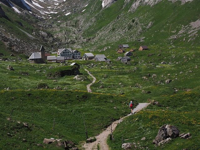 Image by Hans Braxmeier from Pixabay
