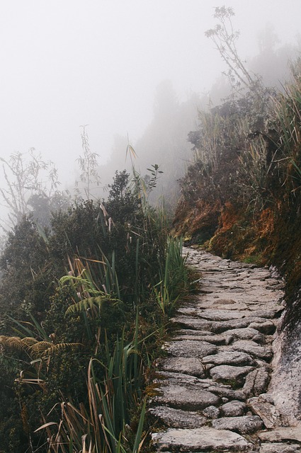 Image by Free-Photos from Pixabay