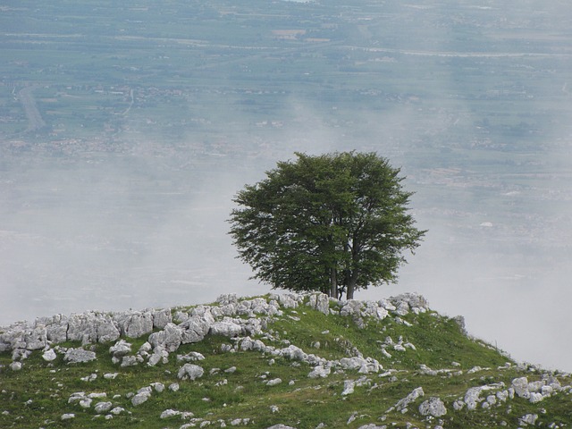 Image by Andrea Groppo from Pixabay