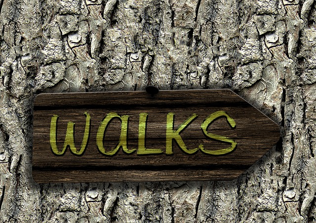 Image by Gerd Altmann from Pixabay
