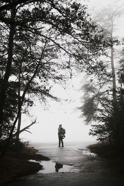 Image by StockSnap from Pixabay