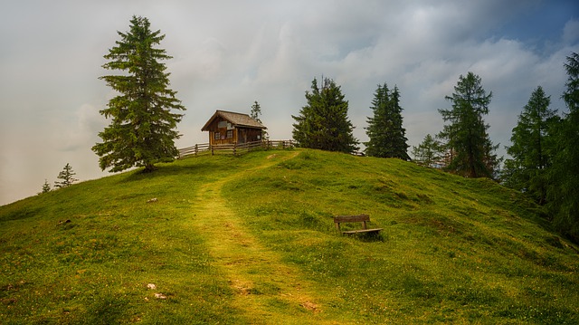 Image by Johannes Plenio from Pixabay