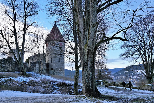 Image by photosforyou from Pixabay