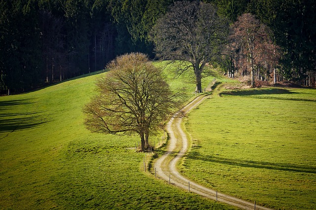 Image by Albrecht Fietz from Pixabay