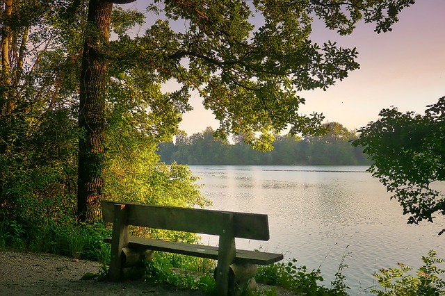 Image by Albrecht Fietz from Pixabay
