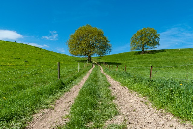 Image by Franck Barske from Pixabay