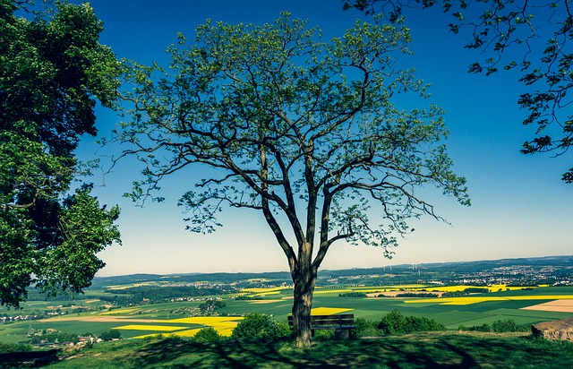 Image by FrankGeorg from Pixabay