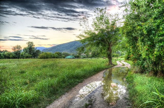Image by Rudy and Peter Skitterians from Pixabay