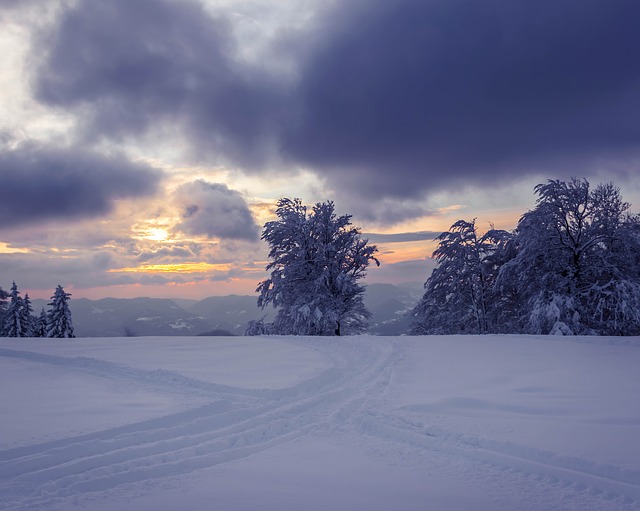 Image by sallycadore from Pixabay