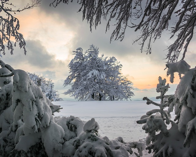 Image by sallycadore from Pixabay
