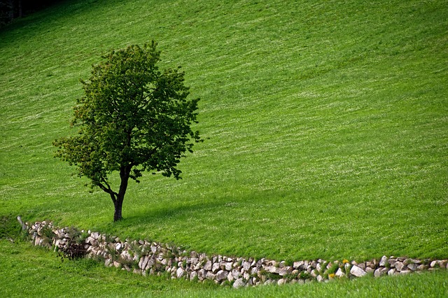 Image by Giampaolo Mastro from Pixabay