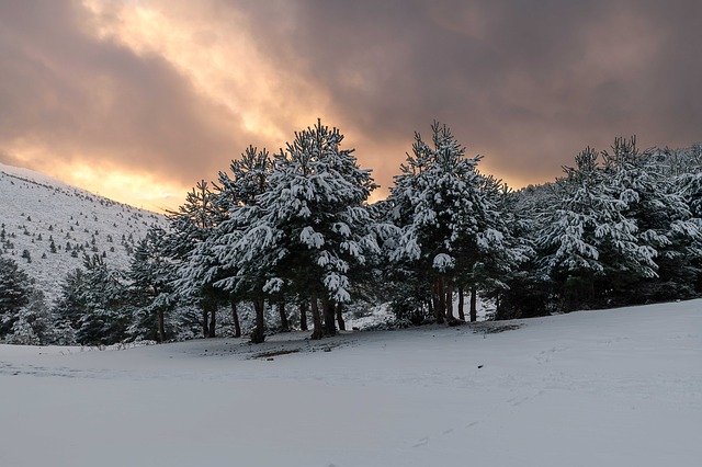 Image by Pablo Merino from Pixabay